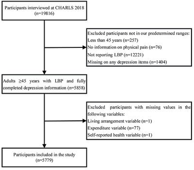 Prevalence and factors associated with comorbid depressive symptoms among people with low back pain in China: A cross-sectional study